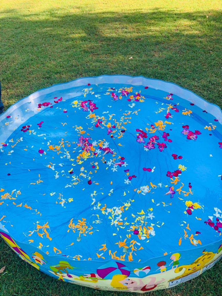 Holi Celebration (12)